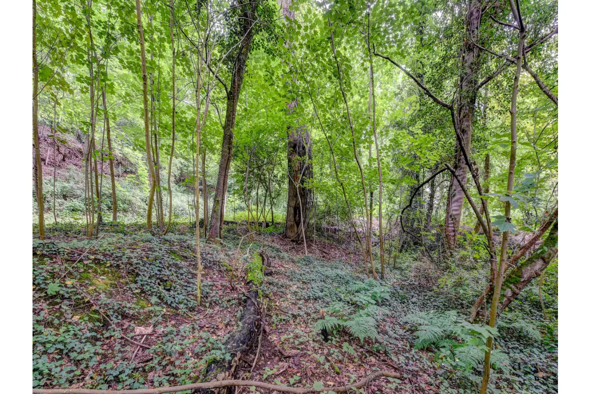 Terrain à bâtir à vendre à Overijse 3090 310000.00€  chambres m² - Annonce 172666