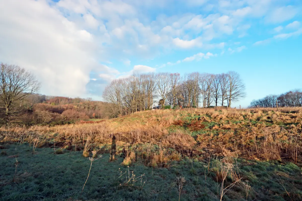 Terrain à vendre à Tielt 3390 39000.00€  chambres m² - Annonce 4573