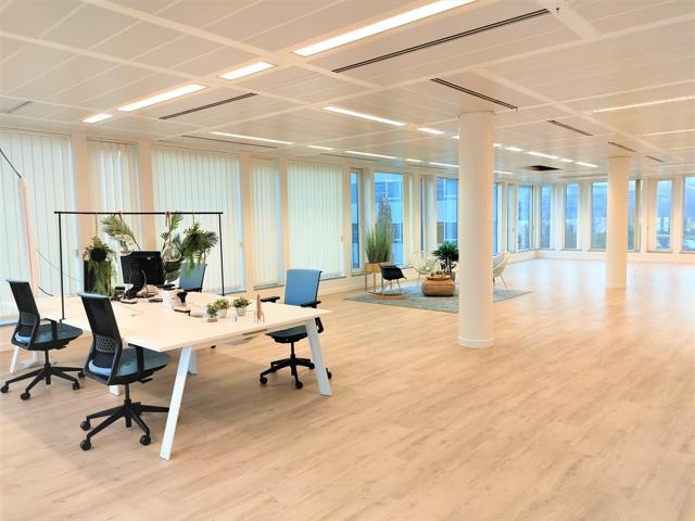 Commerce à louer à Braine-l'Alleud 1420 5575.00€ 0 chambres m² - Annonce 4218