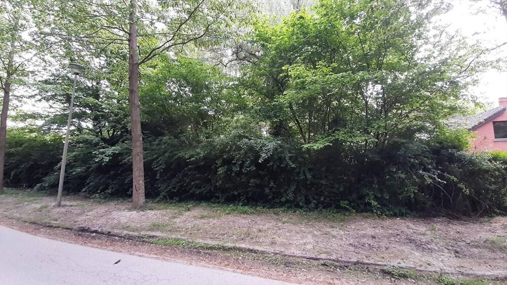 Terrain à vendre à Kampenhout 1910 350000.00€ chambres m² - Annonce 4351