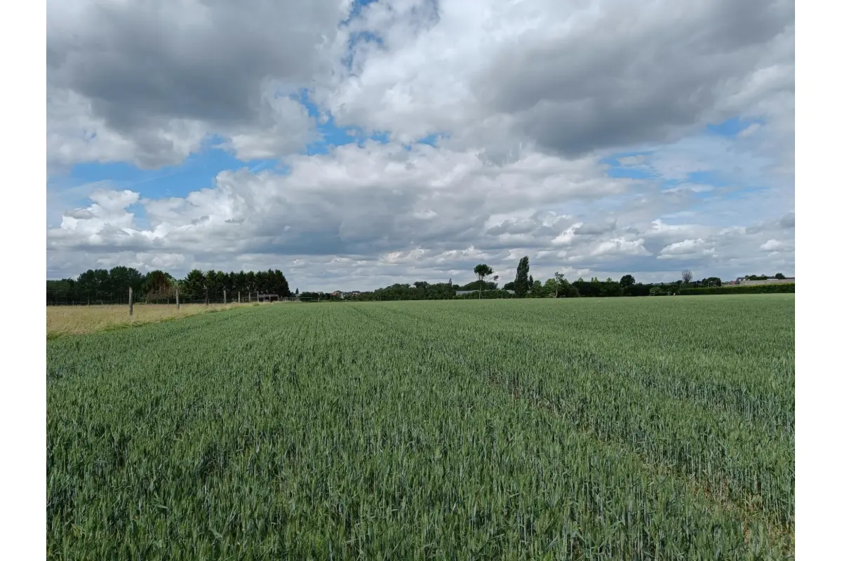 Terrain non bâtissable à vendre à Asse 1730 16020.00€  chambres m² - Annonce 4506