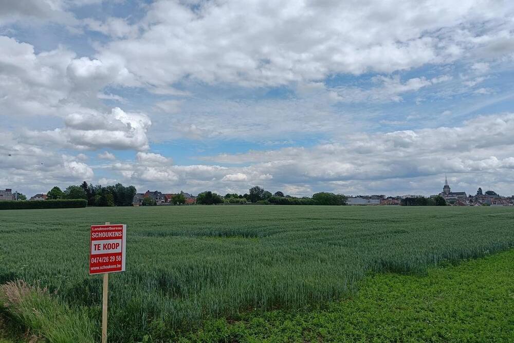 Terrain à vendre à Asse 1730 66000.00€ 0 chambres m² - Annonce 4507