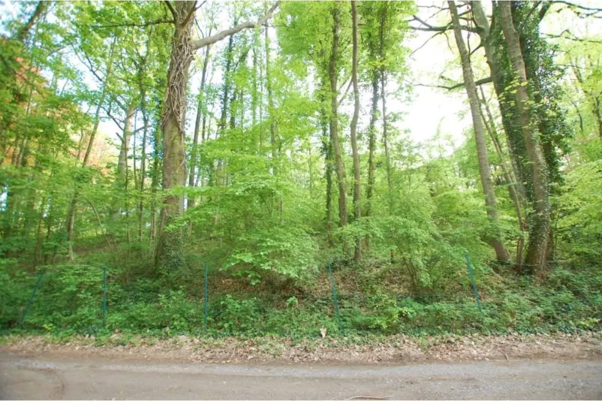 Andere te  koop in Bossut-Gottechain 1390 140000.00€  slaapkamers m² - Zoekertje 5870