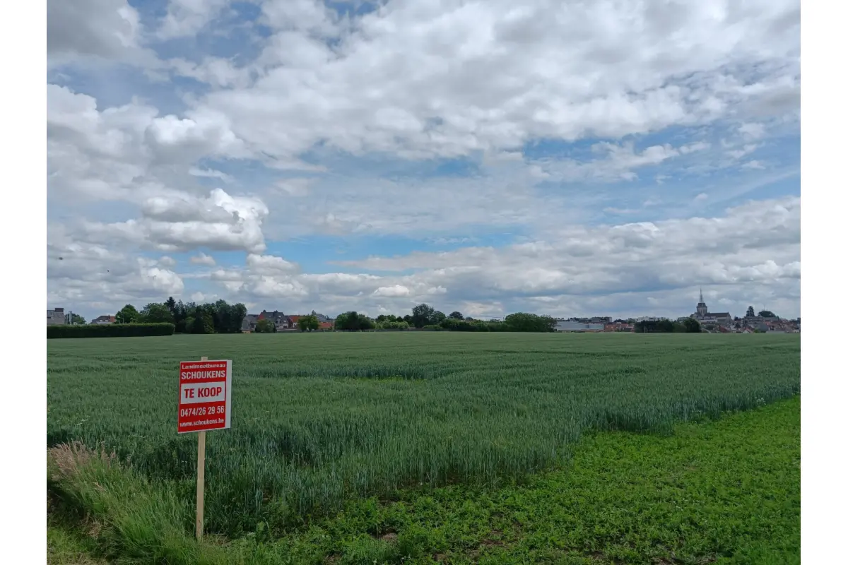 Terrain non bâtissable à vendre à Asse 1730 55740.00€  chambres m² - Annonce 9167