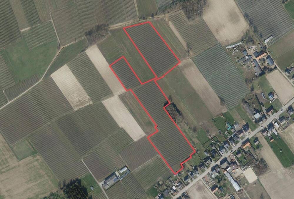 Niet bebouwbare grond te  koop in Meensel-Kiezegem 3391 0.00€  slaapkamers m² - Zoekertje 1343324