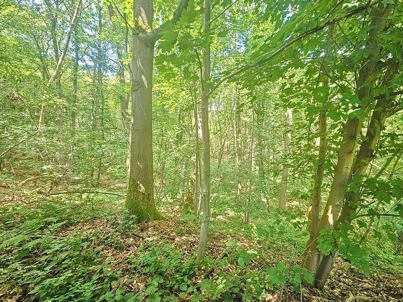 Terrain à vendre à Wavre 1300 295000.00€ chambres m² - Annonce 149627
