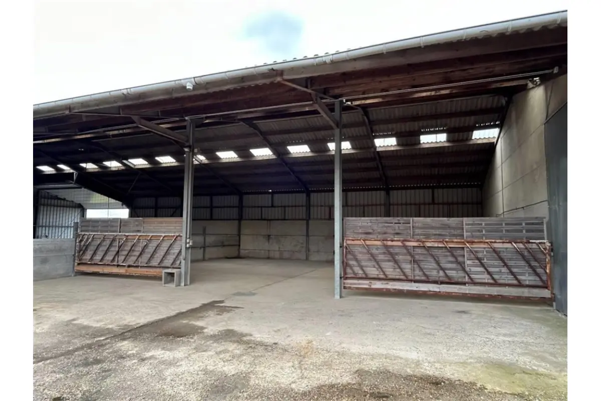 Handelszaak te  huur in Thorembais-Saint-Trond 1360 700.00€  slaapkamers 170.00m² - Zoekertje 151876