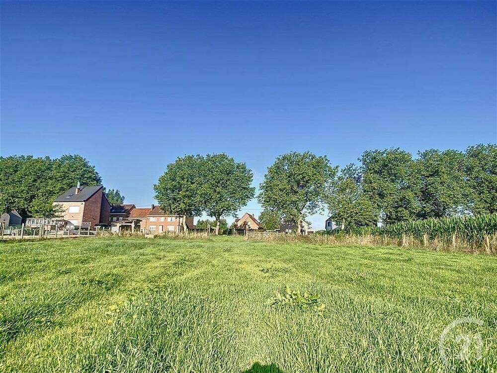 Terrain à vendre à Gooik 1755 54000.00€ chambres m² - Annonce 187431