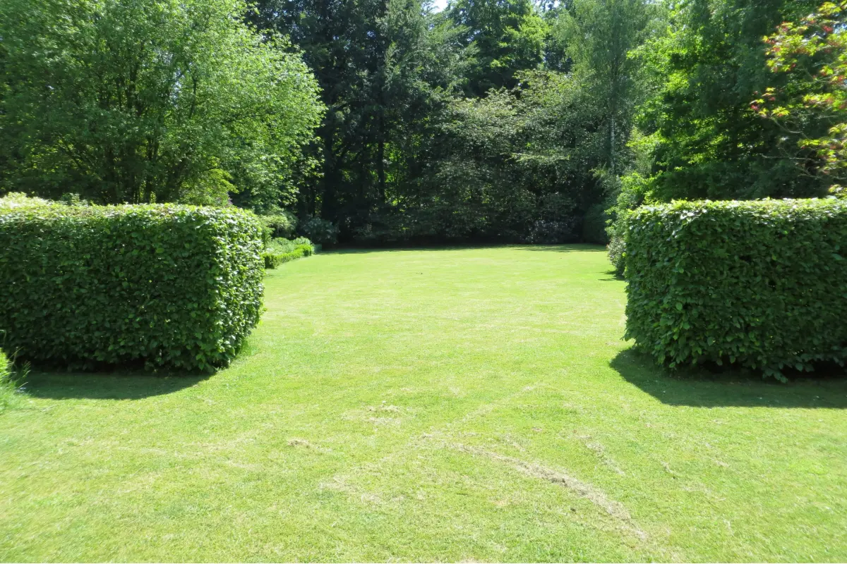 Terrain à vendre à Braine-l'Alleud 1420 775000.00€  chambres m² - Annonce 201747