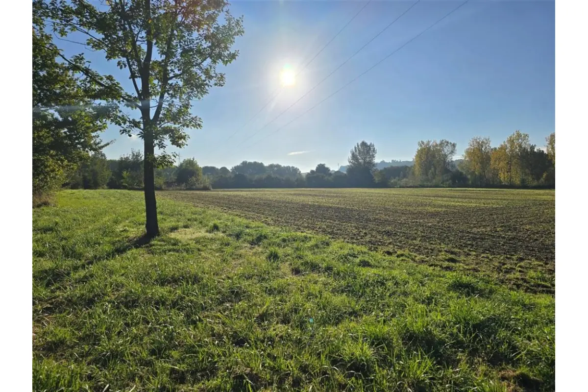 Terrain à vendre à Jodoigne 1370 295000.00€  chambres m² - Annonce 297059