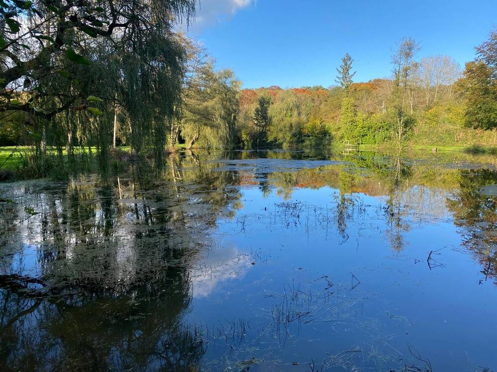 Terrain à vendre à Lasne 1380 2590000.00€ chambres m² - Annonce 468926