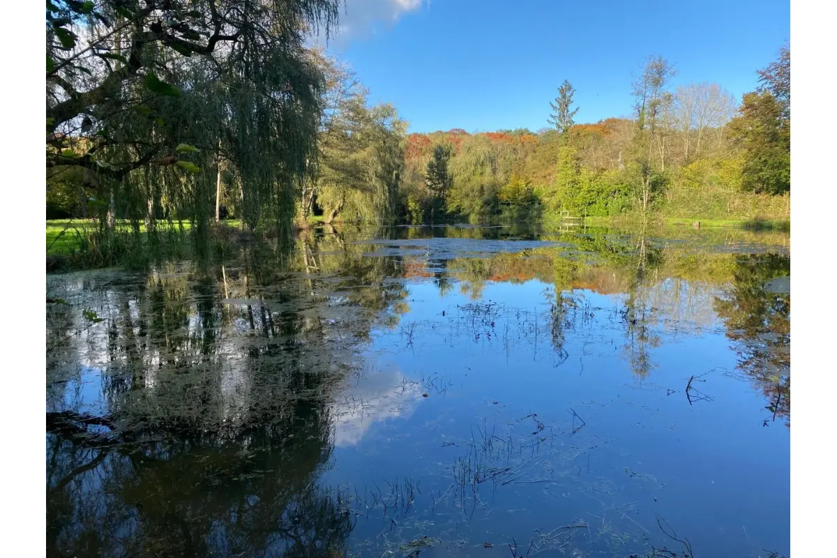 Grond te  in Lasne 1380 2590000.00€  slaapkamers m² - Zoekertje 652179