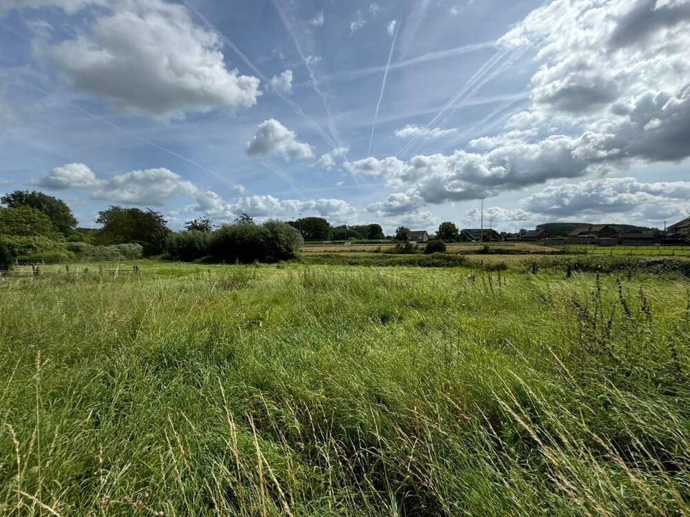Terrain à vendre à Wambeek 1741 195000.00€ chambres m² - Annonce 323079