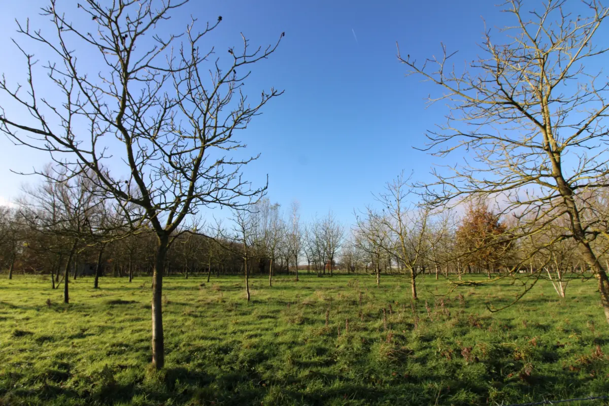 Terrain à vendre à Opwijk 1745 57000.00€  chambres m² - Annonce 342729