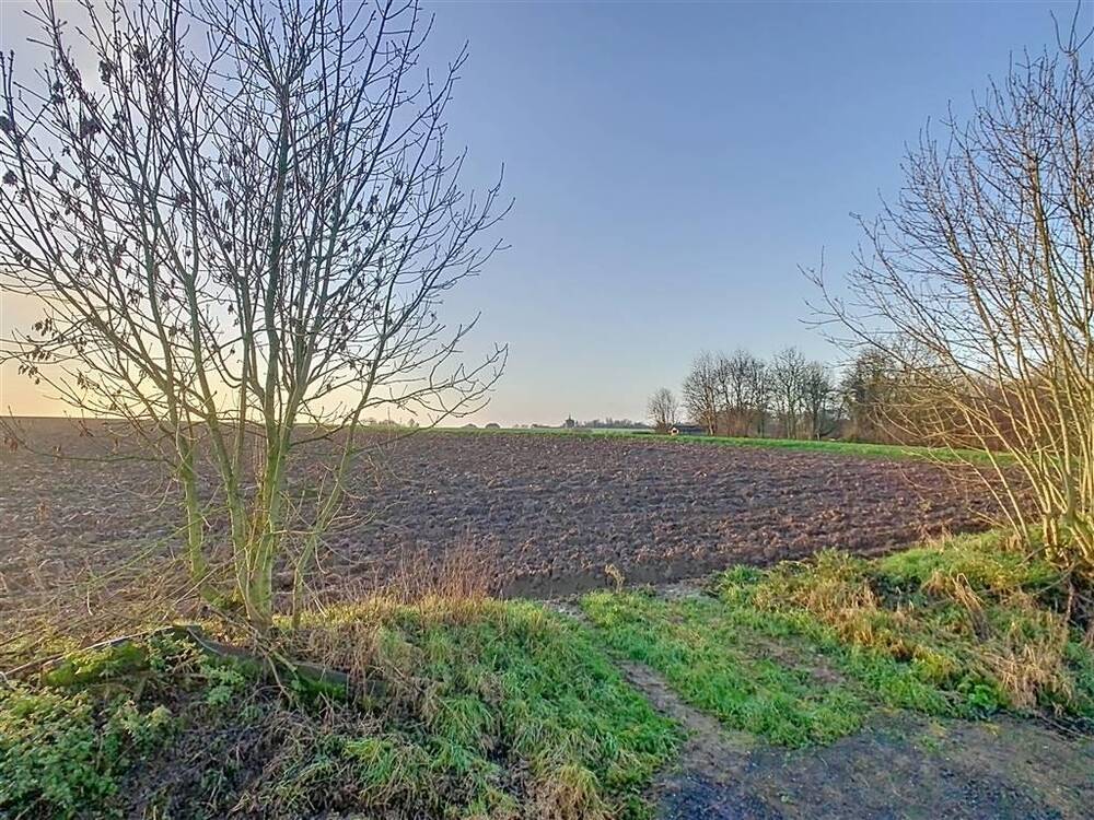 Terrain à vendre à Lathuy 1370 45000.00€ chambres m² - Annonce 344048