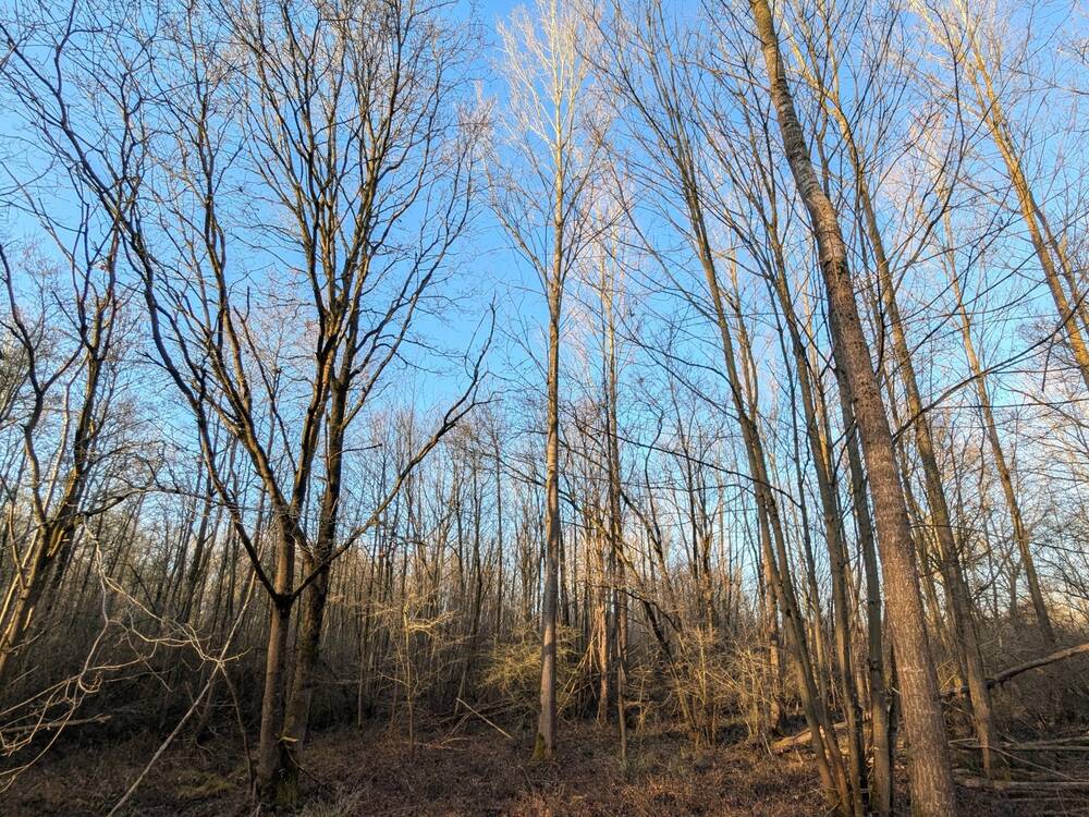 Terrain à vendre à Haacht 3150 24900.00€  chambres m² - Annonce 411092