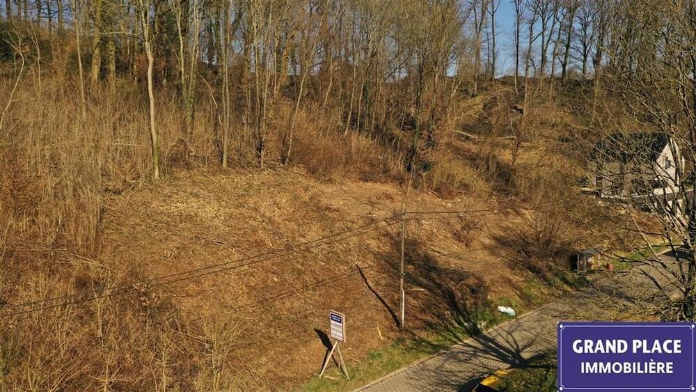 Terrain à vendre à Biez 1390 155000.00€  chambres m² - Annonce 415719