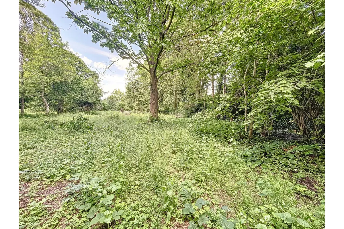 Terrain à vendre à Genval 1332 240000.00€  chambres m² - Annonce 428626