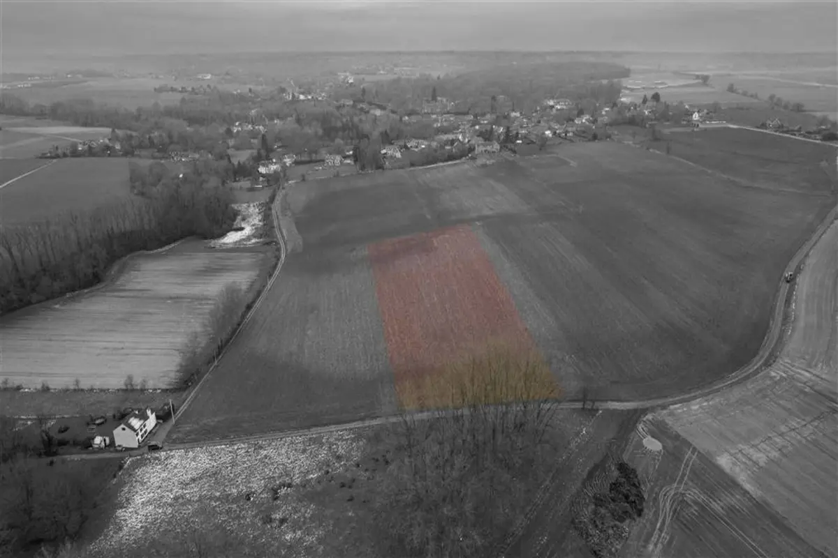 Terrain à vendre à Dongelberg 1370 60000.00€  chambres m² - Annonce 625755