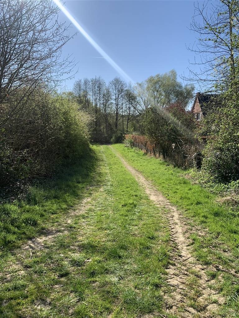 Terrain à vendre à Meldert 3320 85000.00€ chambres m² - Annonce 441079
