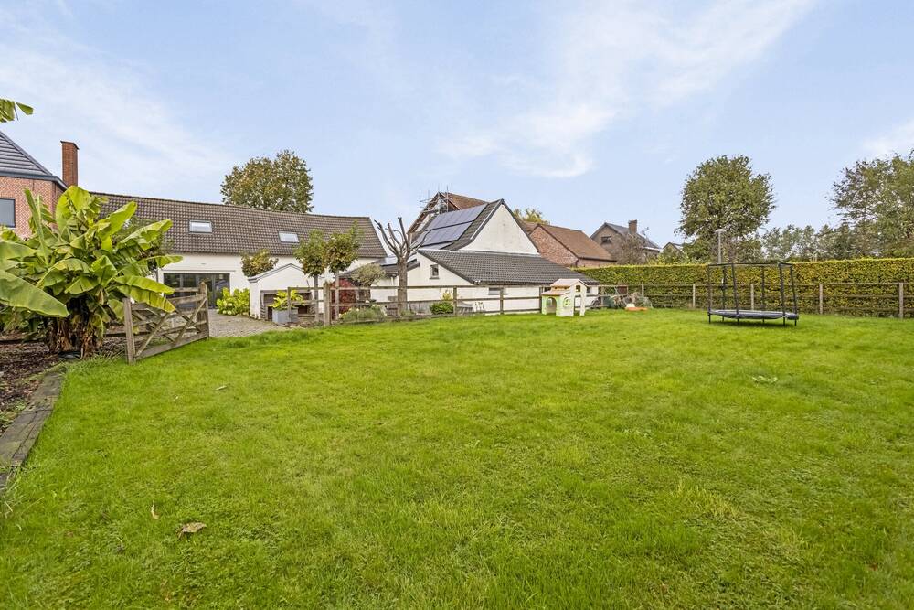 Maison à vendre à Londerzeel 1840 599000.00€ 4 chambres 230.00m² - Annonce 441316