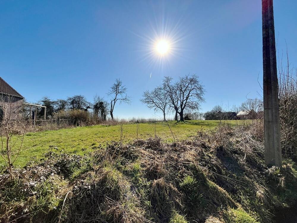 Terrain à vendre à Biévène 1547 95000.00€ chambres m² - Annonce 443875