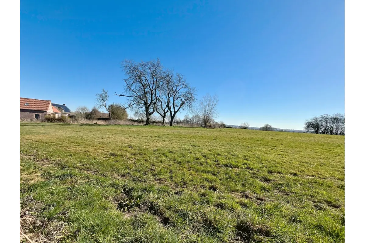 Grond te  koop in Bever 1547 90000.00€  slaapkamers m² - Zoekertje 444235