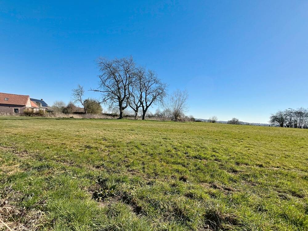 Terrain à vendre à Biévène 1547 90000.00€ chambres m² - Annonce 444235