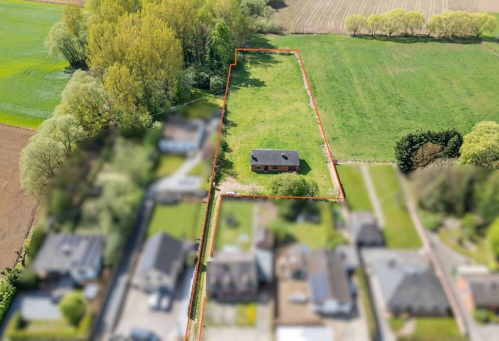 Maison à vendre à Wilsele 3012 365000.00€ 2 chambres 105.00m² - Annonce 443540