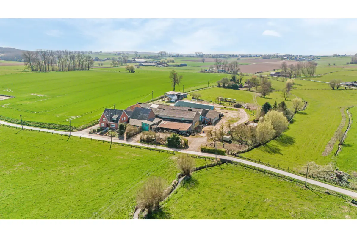 Huis te  koop in Bever 1547 425000.00€ 6 slaapkamers 254.00m² - Zoekertje 445478