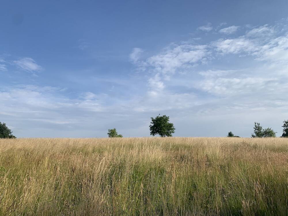 Terrain à vendre à Grez-Doiceau 1390 425000.00€ chambres m² - Annonce 449353