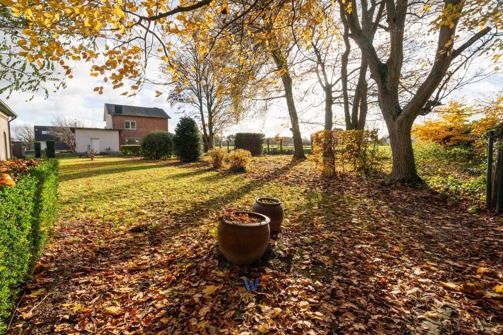 Maison à vendre à Opwijk 1745 535000.00€ 3 chambres 185.00m² - Annonce 458944