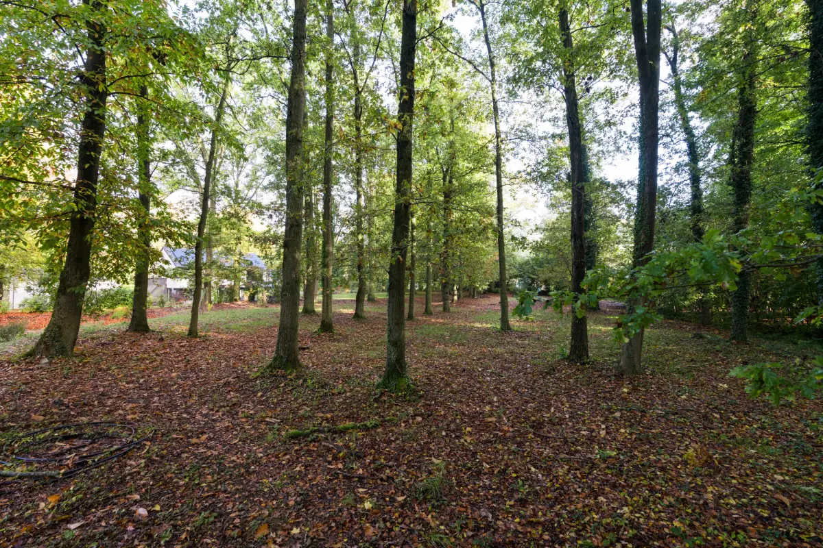 Terrain à vendre à Grez-Doiceau 1390 295000.00€  chambres m² - Annonce 458749