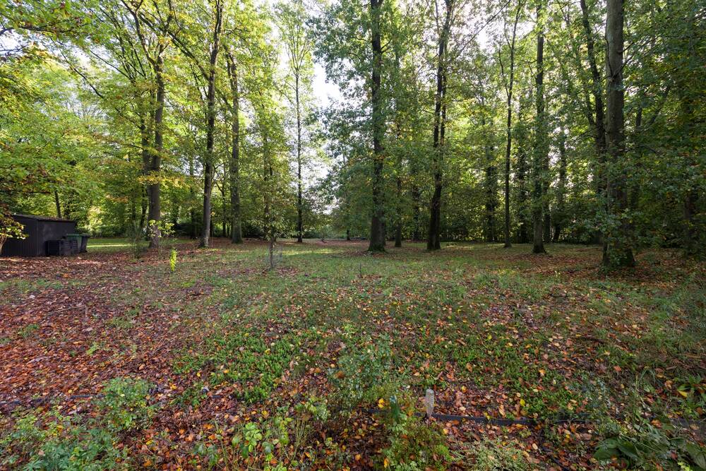 Terrain à vendre à Grez-Doiceau 1390 295000.00€ chambres m² - Annonce 458749