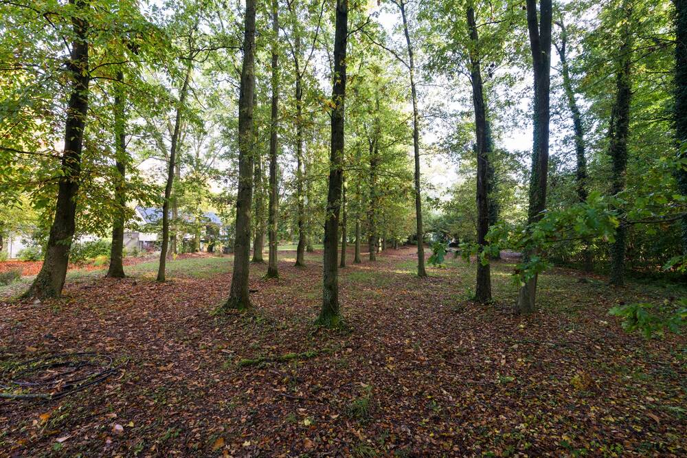 Terrain à vendre à Grez-Doiceau 1390 295000.00€ chambres m² - Annonce 458749
