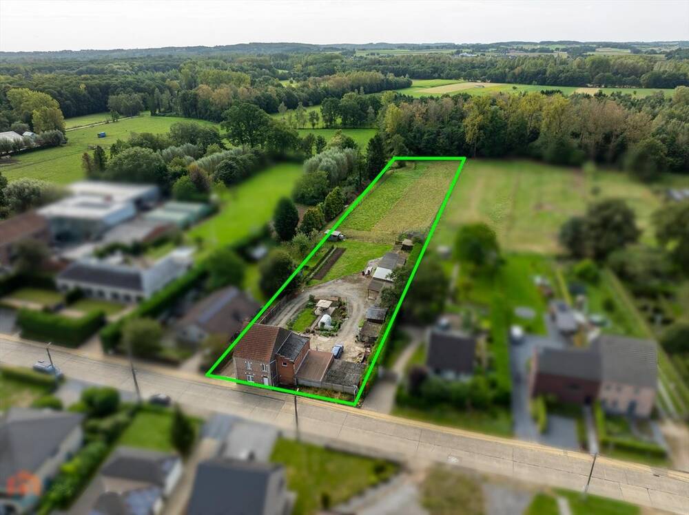Maison à vendre à Nieuwrode 3221 395000.00€ 3 chambres 261.00m² - Annonce 462027