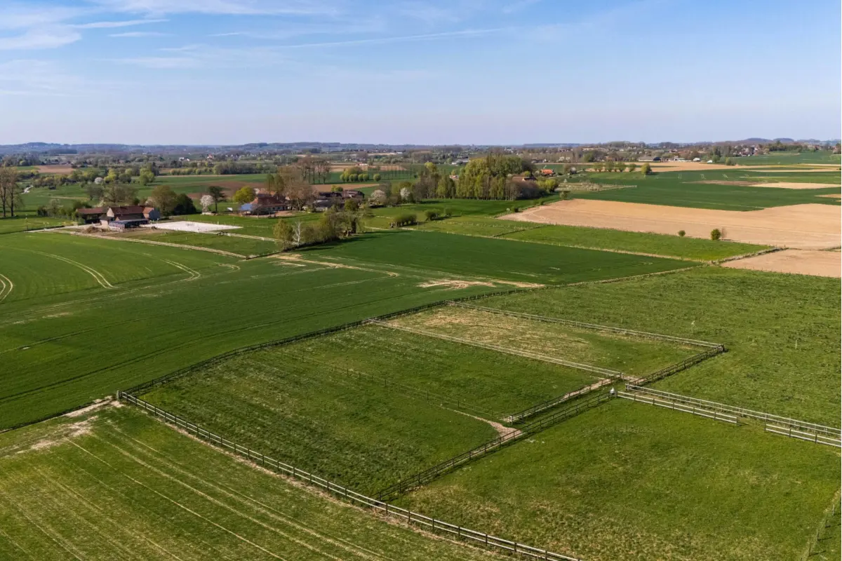 Maison à vendre à Herfelingen 1540 1695000.00€ 4 chambres 266.00m² - Annonce 473351