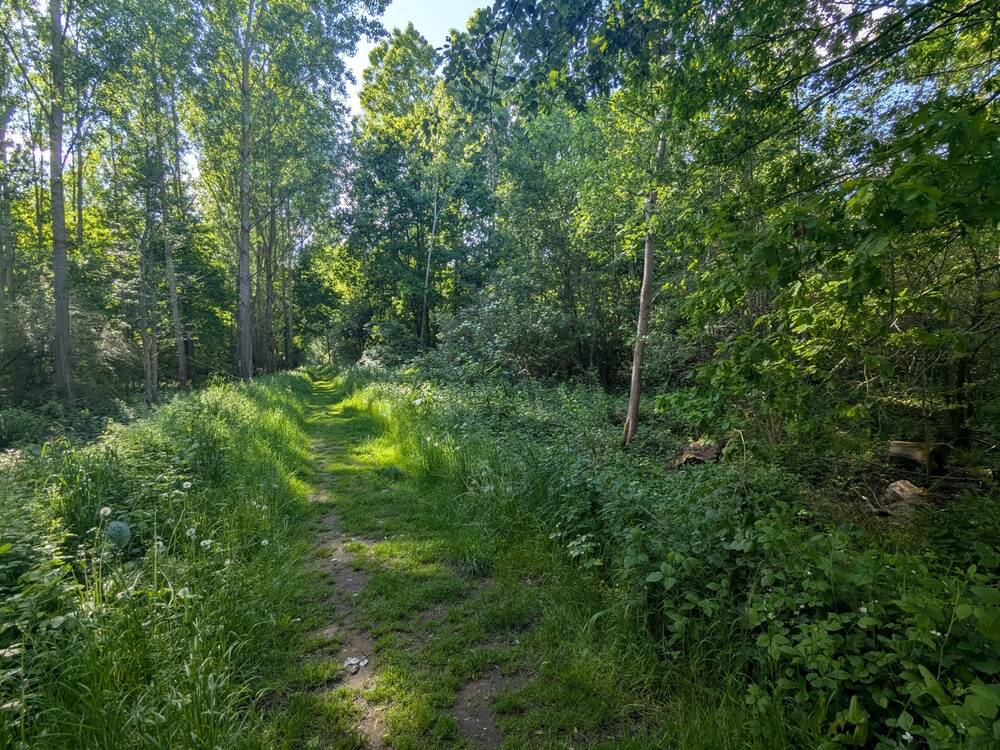 Grond te koop in Haacht 3150 18750.00€ slaapkamers m² - Zoekertje 472340