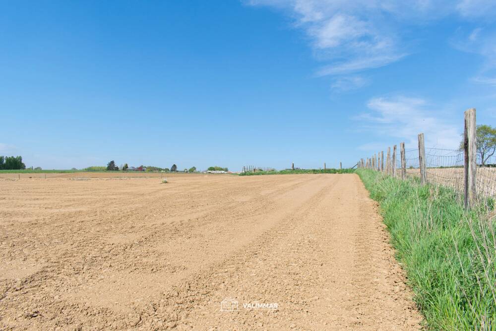 Terrain à vendre à Asse 1730 44000.00€ chambres m² - Annonce 477521