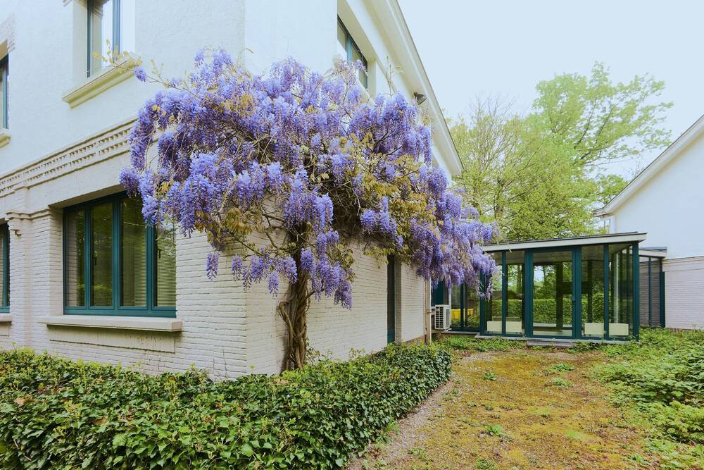 Maison à vendre à Kraainem 1950 1150000.00€ 10 chambres 610.00m² - Annonce 486167