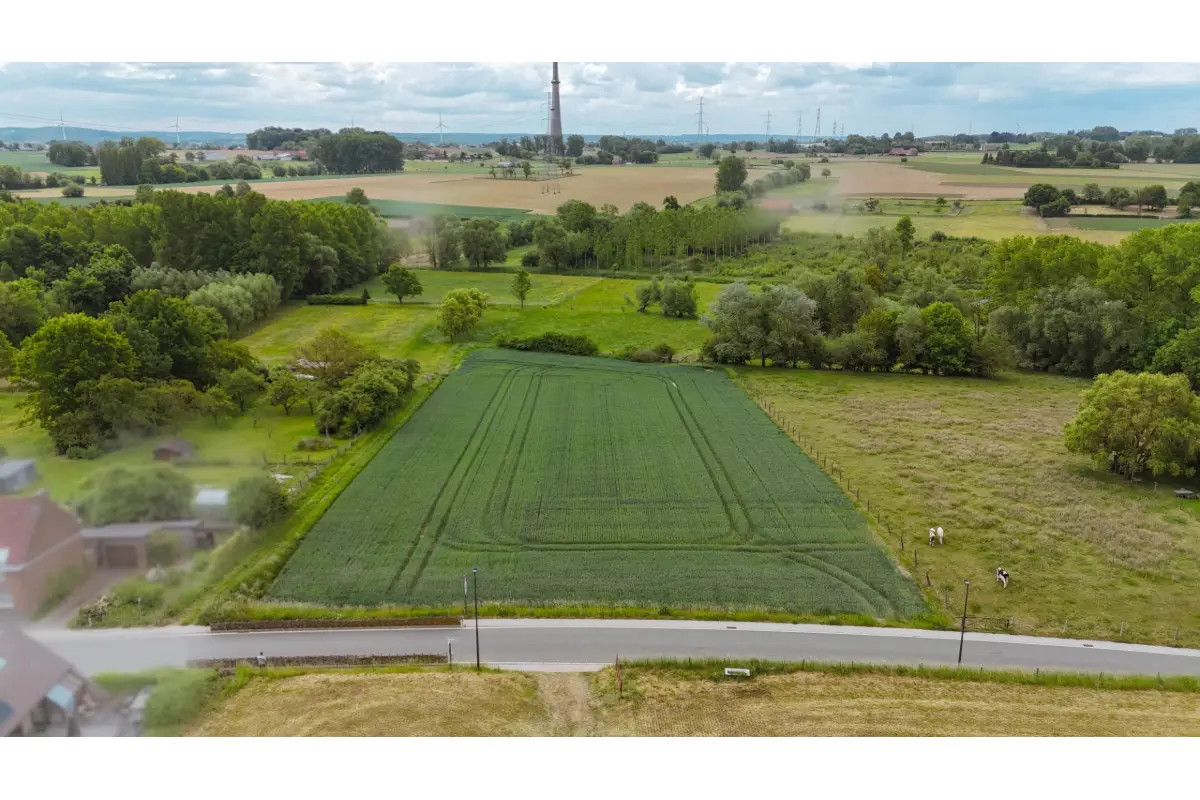 Terrain à vendre à Leeuw-Saint-Pierre 1600 115000.00€  chambres m² - Annonce 485382