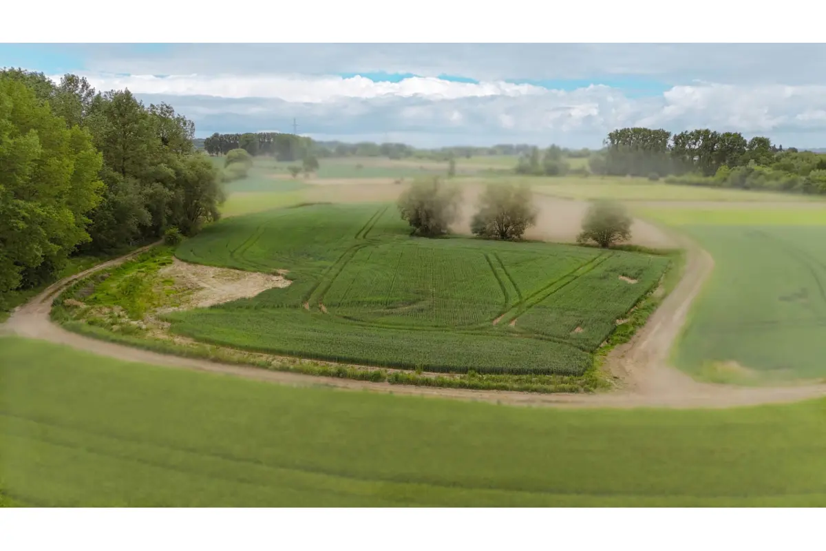 Terrain à vendre à Leeuw-Saint-Pierre 1600 85000.00€  chambres m² - Annonce 485383