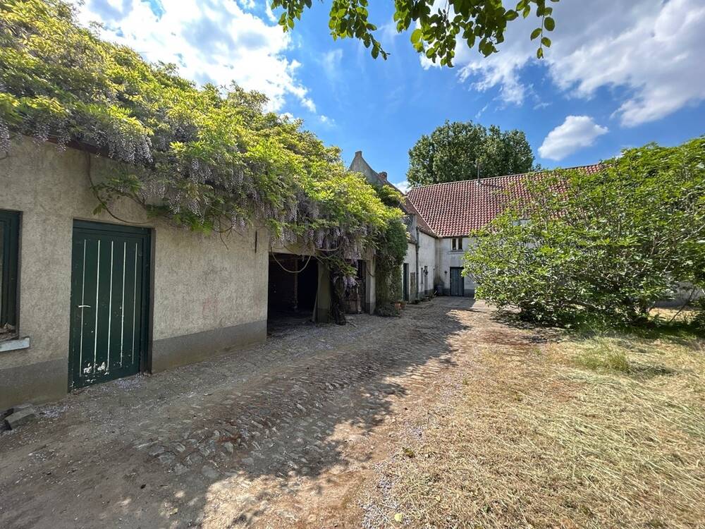 Commerce à vendre à Kampenhout 1910 490000.00€ 3 chambres m² - Annonce 499659