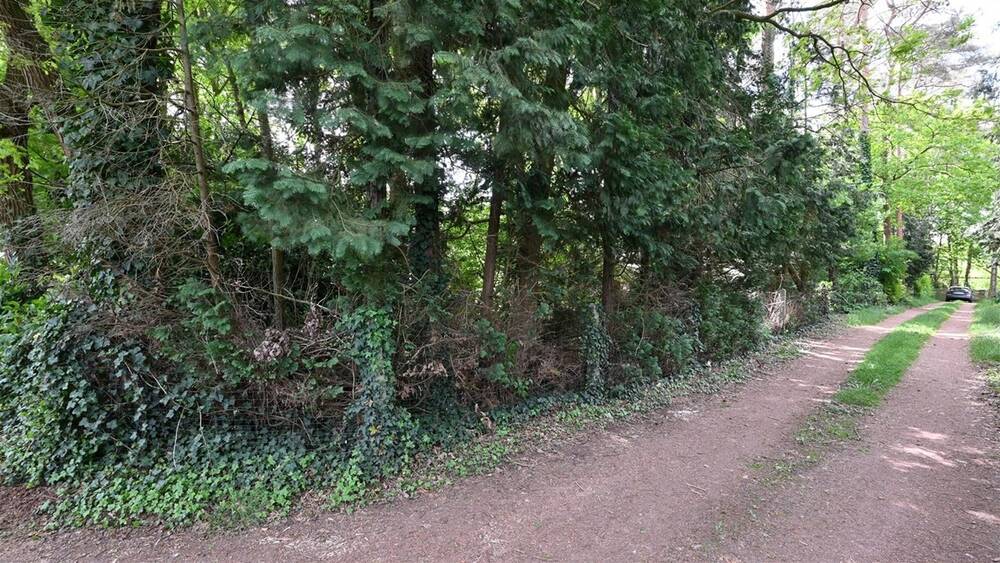 Grond te koop in Werchter 3118 165000.00€ slaapkamers m² - Zoekertje 496939