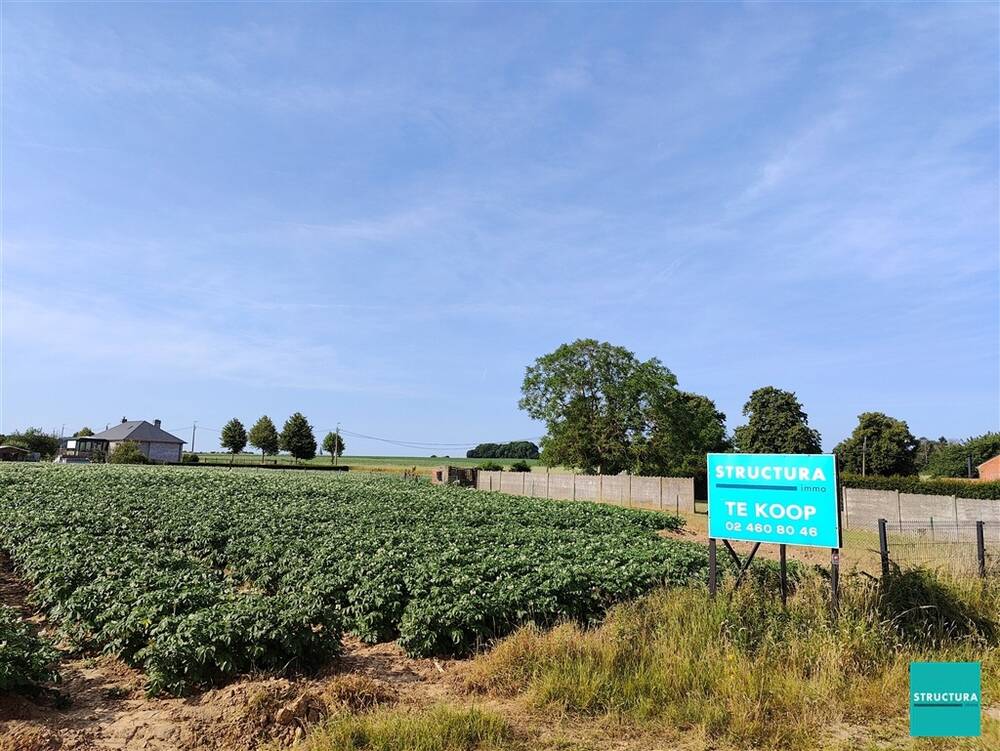 Terrain à bâtir à vendre à Brussegem 1785 365000.00€  chambres m² - Annonce 494079