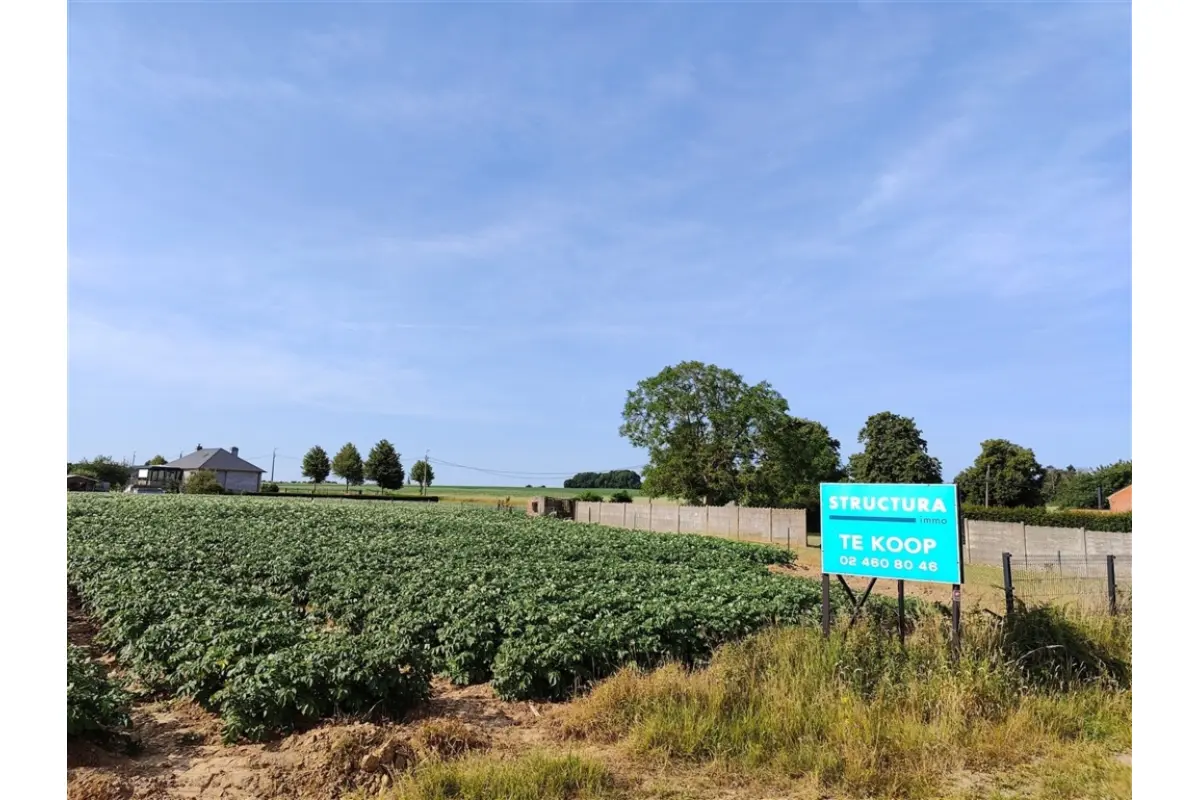 Terrain à bâtir à vendre à Brussegem 1785 365000.00€  chambres m² - Annonce 494079