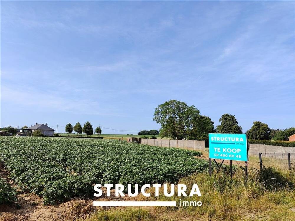 Terrain à bâtir à vendre à Brussegem 1785 365000.00€  chambres m² - Annonce 494079