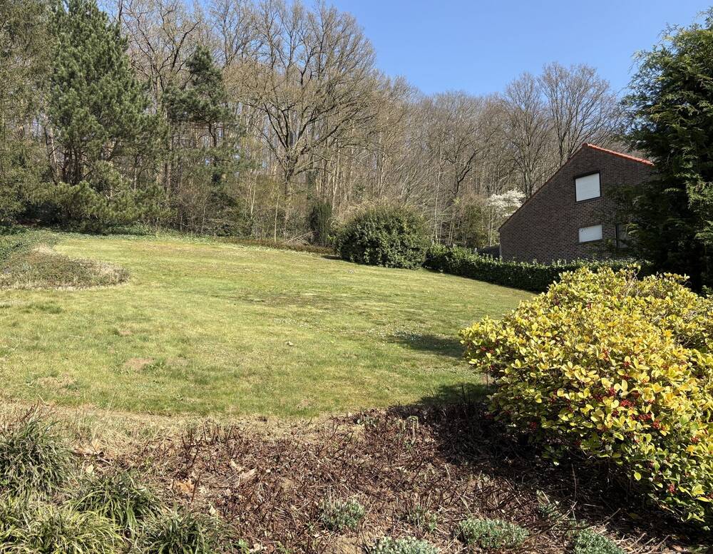 Grond te  koop in Holsbeek 3220 335000.00€  slaapkamers m² - Zoekertje 509352