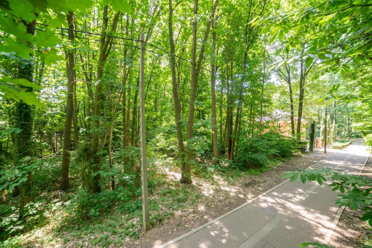 Bouwgrond te  koop in Rotselaar 3110 340000.00€  slaapkamers m² - Zoekertje 512894