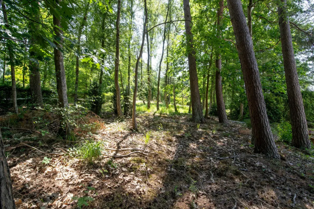 Terrain à vendre à Villers-la-Ville 1495 350000.00€  chambres m² - Annonce 645883